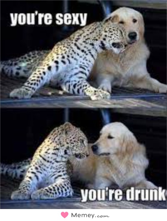 You're sexy You're drunk