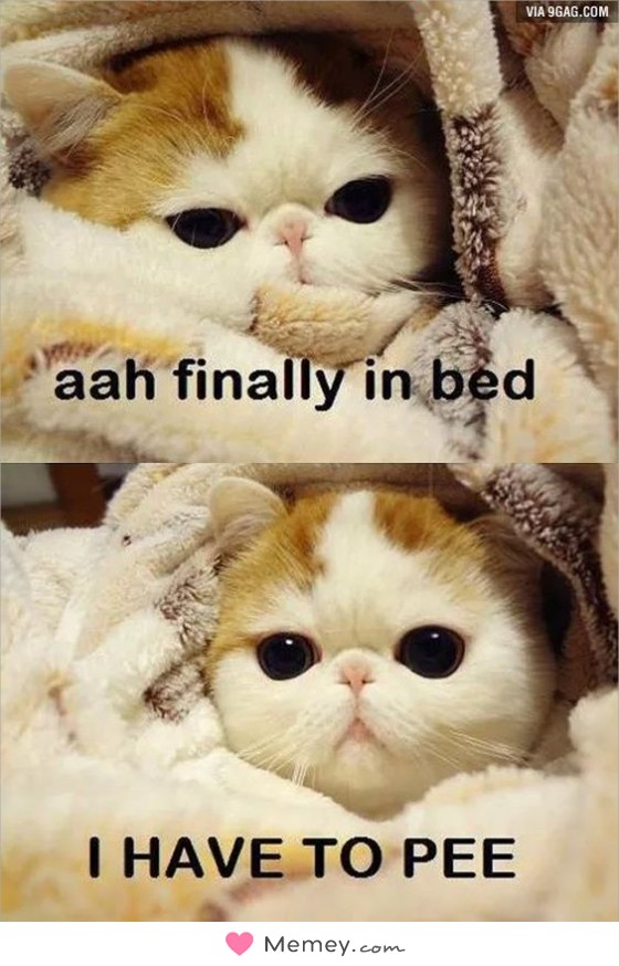 Aah finally in bed. I have to pee!