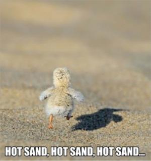 Hot sand, hot sand, hot sand...