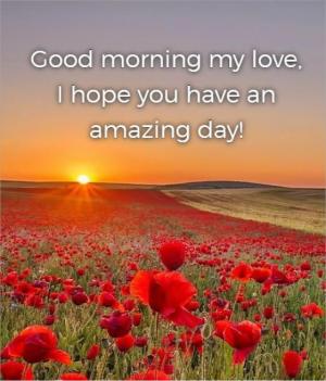 Good morning my love, I hope you have an amazing day!