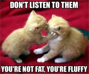 Don't listen to them You're not fat, you're fluffy