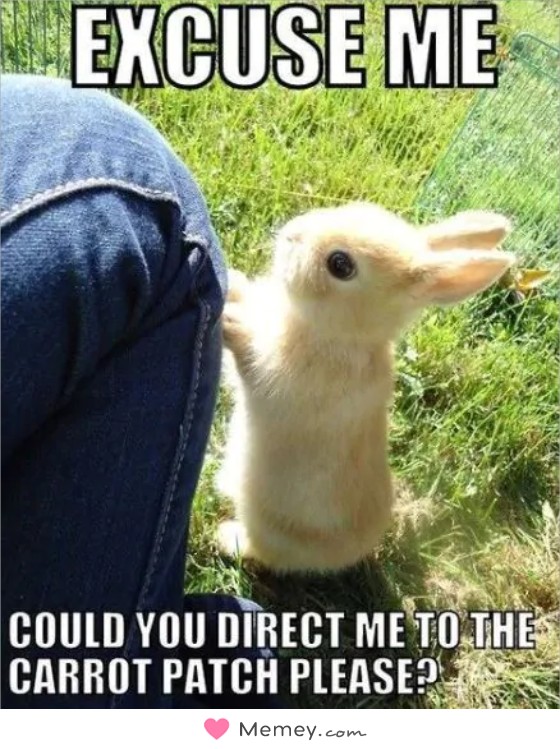 Excuse me Could you direct me to the carrot patch please?