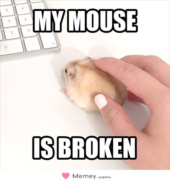 My mouse is broken