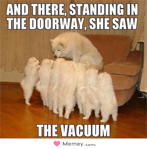 And there standing in the doorway, she saw the vacuum