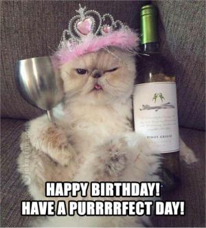 Happy Birthday! Have a purrrrfect day!
