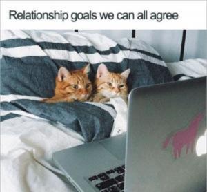 Relationship goals we can all agree