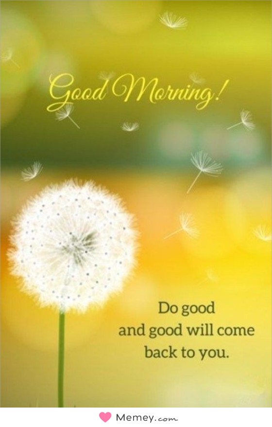 Good morning! Do good and good will come back to you.