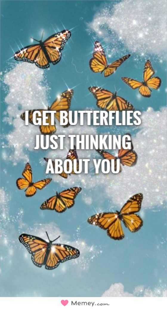 I get butterflies just thinking about you
